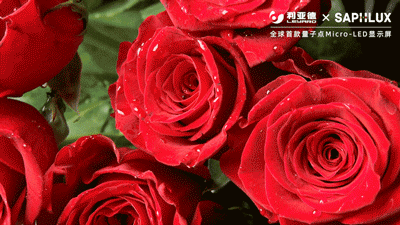 环亚集团·AG88(中国)官方网站