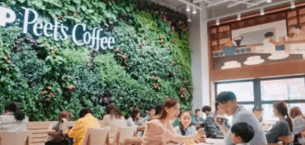 环亚集团·AG88(中国)官方网站